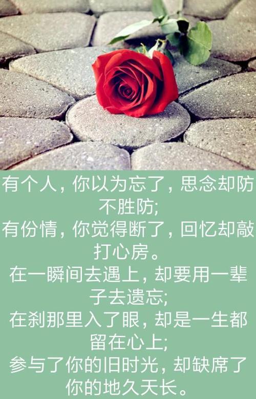 《余生不打扰》LRC歌词 《余生不打扰》(苏栎)歌词555uuu下载