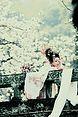 《梦里花落谁人知》LRC歌词 《梦里花落谁人知》(枫舞&相容)歌词555uuu下载