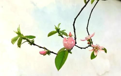 《心可春也可秋》LRC歌词 《心可春也可秋》(吴庆康)歌词555uuu下载
