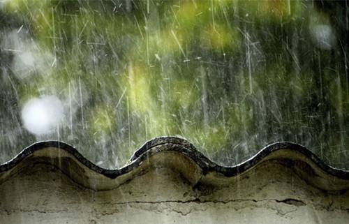 《雨季》LRC歌词 《雨季》(童丽,王浩)歌词555uuu下载