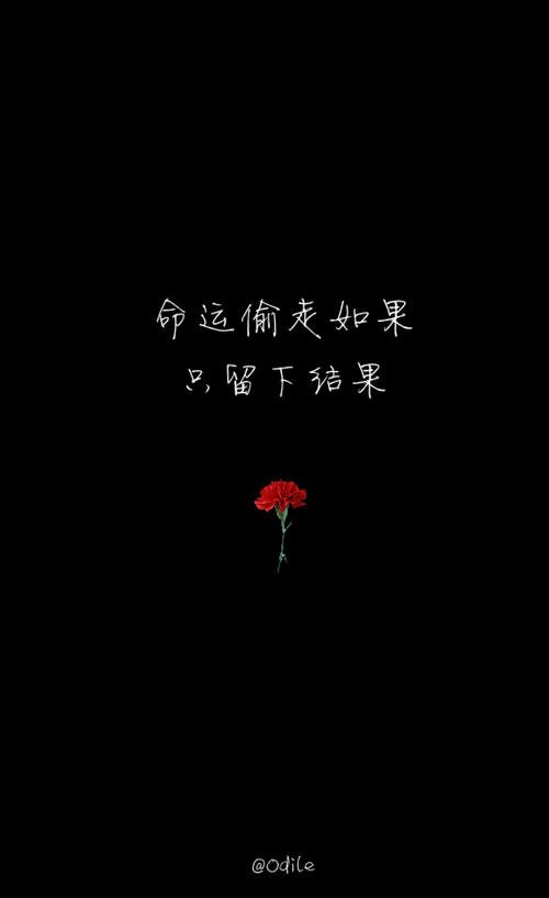 《你走后》LRC歌词 《你走后》(杨坤)歌词555uuu下载