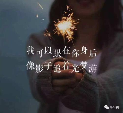 《在我身后》LRC歌词 《在我身后》(曾静玟)歌词555uuu下载