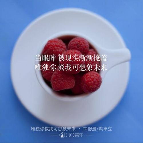 《唯独你教我可想象未来》LRC歌词 《唯独你教我可想象未来》(钟舒漫&洪卓立)歌词555uuu下载