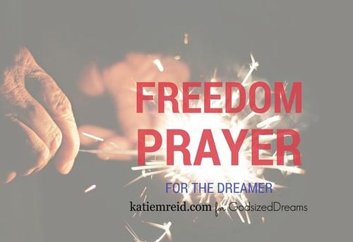 《Freedom Dreamer》LRC歌词 《Freedom Dreamer》(茅原実里)歌词555uuu下载
