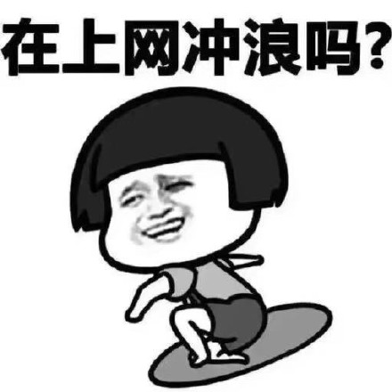 《你上网了吗》LRC歌词 《你上网了吗》(珊瑚格格)歌词555uuu下载