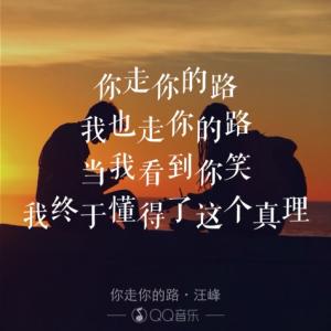 《你走你的路》LRC歌词 《你走你的路》(包蔓)歌词555uuu下载