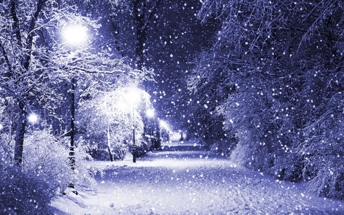《爱情里下了一场雪》LRC歌词 《爱情里下了一场雪》(彭伟家)歌词555uuu下载