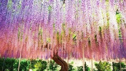 《心动的季节》LRC歌词 《心动的季节》(田田)歌词555uuu下载