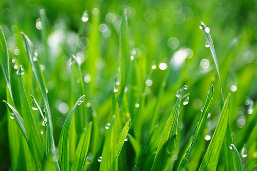 《春雨》LRC歌词 《春雨》(云飞儿)歌词555uuu下载