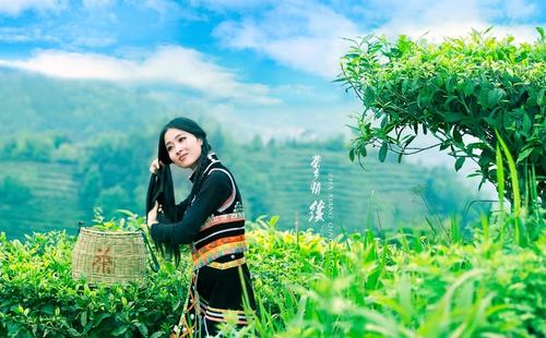 《茶乡情缘》LRC歌词 《茶乡情缘》(莫愁弦子&李依)歌词555uuu下载