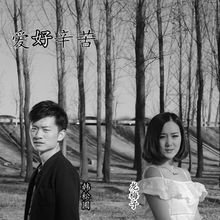《爱好辛苦》LRC歌词 《爱好辛苦》(龙梅子&韩松圃)歌词555uuu下载