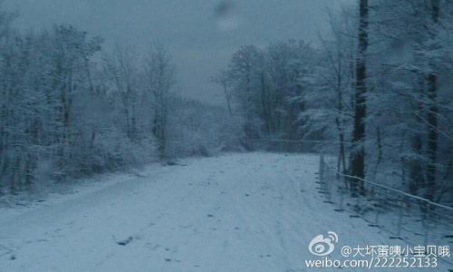 《黑夜落雪》LRC歌词 《黑夜落雪》(姚贝娜)歌词555uuu下载