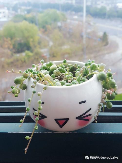 《雪人》LRC歌词 《雪人》(张玮)歌词555uuu下载