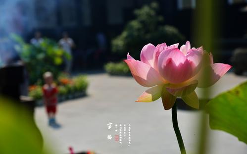 《尘缘》LRC歌词 《尘缘》(费玉清)歌词555uuu下载