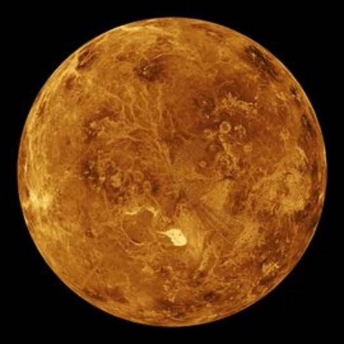 《金星》LRC歌词 《金星》(女王蜂)歌词555uuu下载