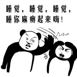 《睡你麻痹起来嗨》LRC歌词 《睡你麻痹起来嗨》(龙奔)歌词555uuu下载