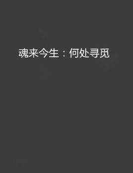 《何处寻觅》LRC歌词 《何处寻觅》(枫桥)歌词555uuu下载