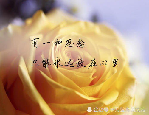 《有一种思念叫永远》LRC歌词 《有一种思念叫永远》(倪尔萍)歌词555uuu下载