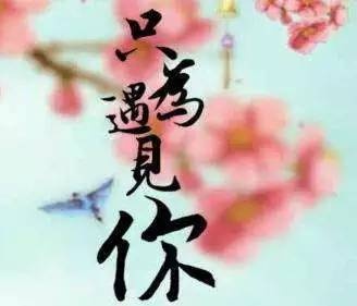 《邂逅的缘分》LRC歌词 《邂逅的缘分》(郑晓飞)歌词555uuu下载