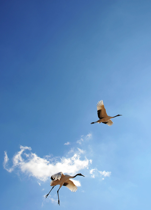 《长空》LRC歌词 《长空》(BEYOND)歌词555uuu下载