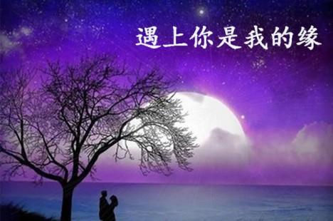 《遇上你是我的缘》LRC歌词 《遇上你是我的缘》(杨蔓)歌词555uuu下载