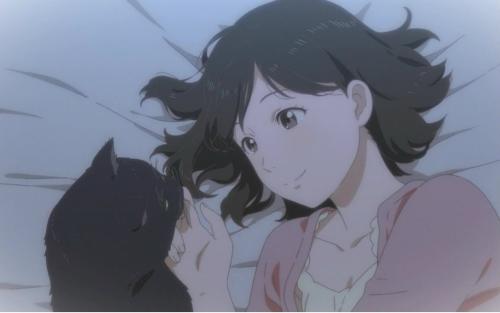 《她的猫》LRC歌词 《她的猫》(范朋飞)歌词555uuu下载