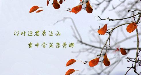 《我心深处》(冷漠)歌词555uuu下载
