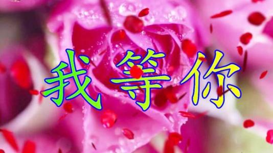《爱着你 想着你》LRC歌词 《爱着你 想着你》(王馨)歌词555uuu下载