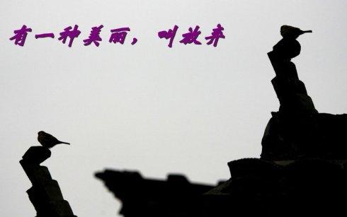 《不再放弃》LRC歌词 《不再放弃》(望海高歌)歌词555uuu下载