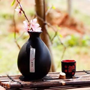 《我有一壶酒》LRC歌词 《我有一壶酒》(付玉龙)歌词555uuu下载