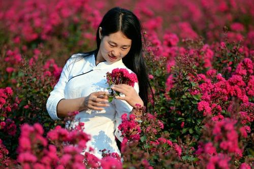 《花开的时候来看我》LRC歌词 《花开的时候来看我》(阿宝,张冬玲)歌词555uuu下载