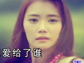 《不要让我再流泪》LRC歌词 《不要让我再流泪》(孙露)歌词555uuu下载