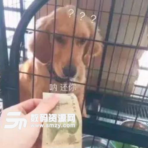 《你的照片》LRC歌词 《你的照片》(涓子)歌词555uuu下载