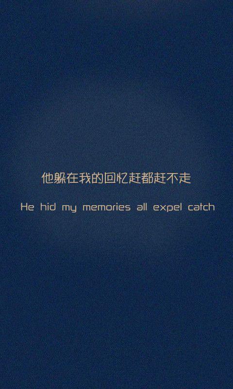 《得不到的爱人》LRC歌词 《得不到的爱人》(申菲)歌词555uuu下载