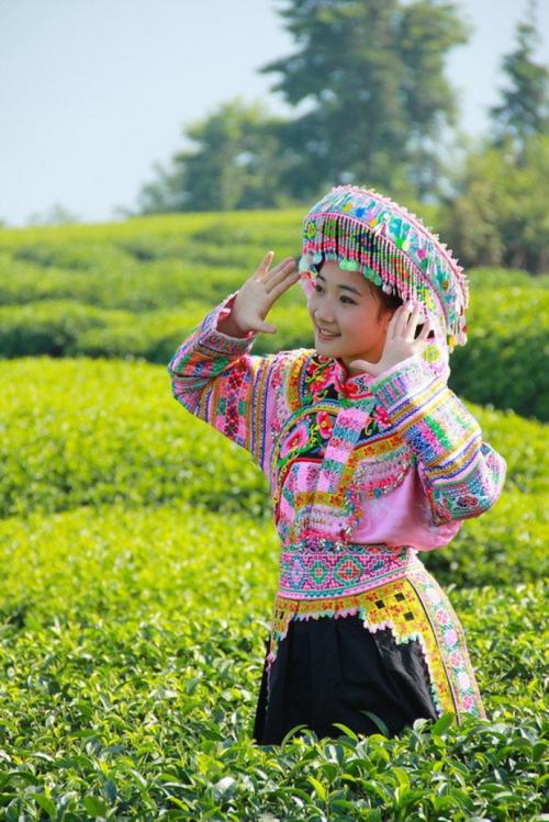 《茶山阿妹》LRC歌词 《茶山阿妹》(谭思弦)歌词555uuu下载