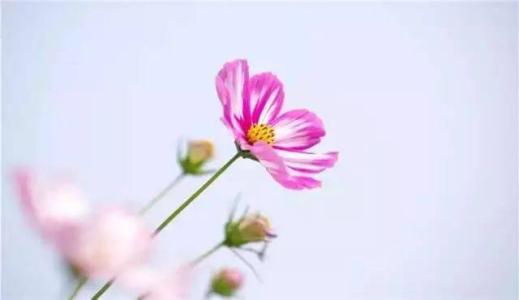 《从今以后爱自己》LRC歌词 《从今以后爱自己》(云飞儿)歌词555uuu下载