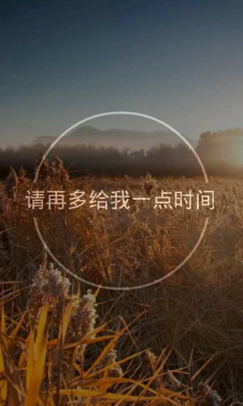 《请给我一点时间》LRC歌词 《请给我一点时间》(王觉)歌词555uuu下载