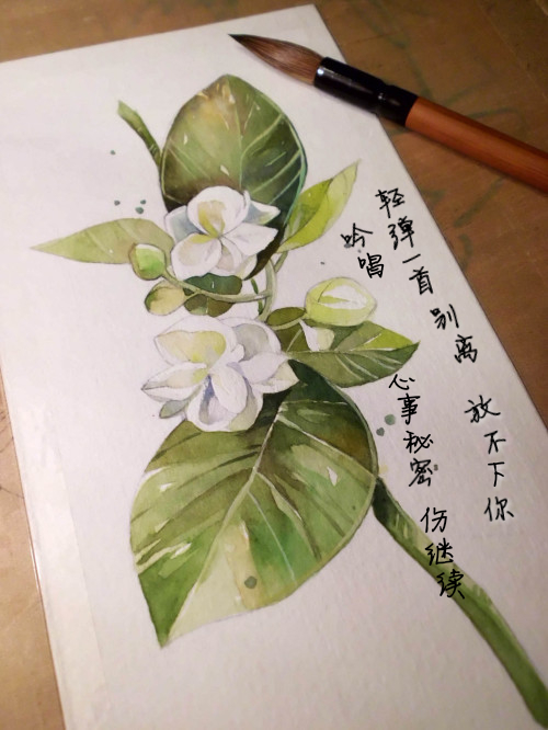 《茉莉雨》LRC歌词 《茉莉雨》(林俊杰)歌词555uuu下载