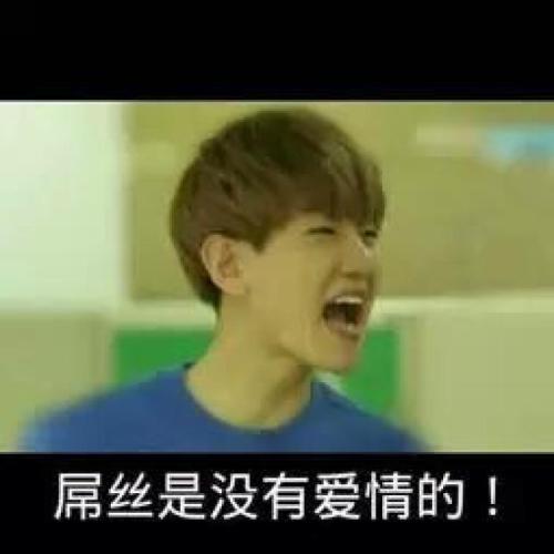 《屌丝的爱情》LRC歌词 《屌丝的爱情》(颜裕林)歌词555uuu下载