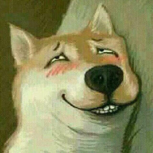 《为谁求》LRC歌词 《为谁求》(晓月)歌词555uuu下载