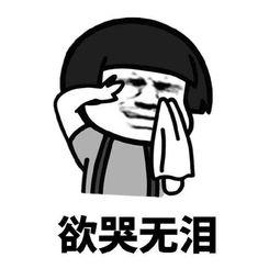 《你让我欲哭无泪》LRC歌词 《你让我欲哭无泪》(望海高歌)歌词555uuu下载