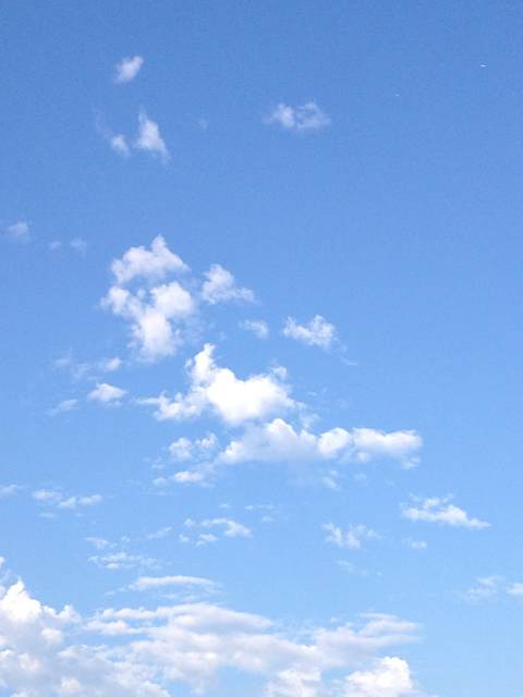 《你是天空的那朵云》LRC歌词 《你是天空的那朵云》(雨柔)歌词555uuu下载