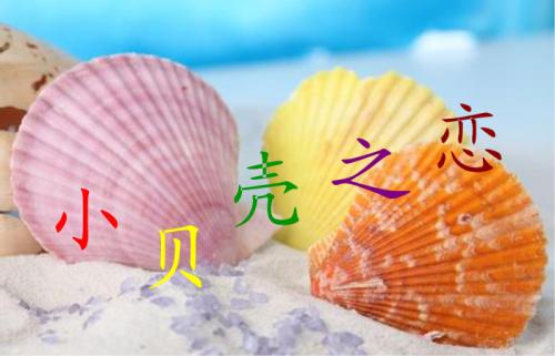 《小贝壳之恋》LRC歌词 《小贝壳之恋》(林淑容)歌词555uuu下载