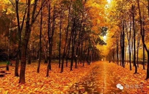 《离别在那一年秋天》LRC歌词 《离别在那一年秋天》(浦原)歌词555uuu下载