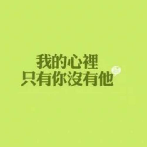 《我的心里只有你没有他》LRC歌词 《我的心里只有你没有他》(雪儿)歌词555uuu下载