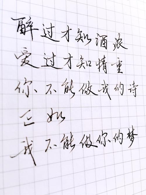 《梦与诗(胡适)》LRC歌词 《梦与诗(胡适)》(杭宏)歌词555uuu下载