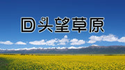 《回头望草原》(东方红艳)歌词555uuu下载