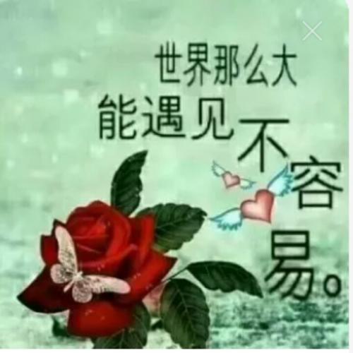 《这一生只为遇见你》LRC歌词 《这一生只为遇见你》(张怡诺)歌词555uuu下载