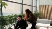 《老姨掀开你的被》LRC歌词 《老姨掀开你的被》(李明霖)歌词555uuu下载
