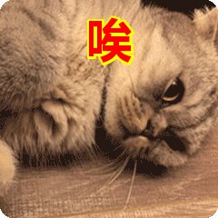 《唉!》LRC歌词 《唉!》(羽泉)歌词555uuu下载
